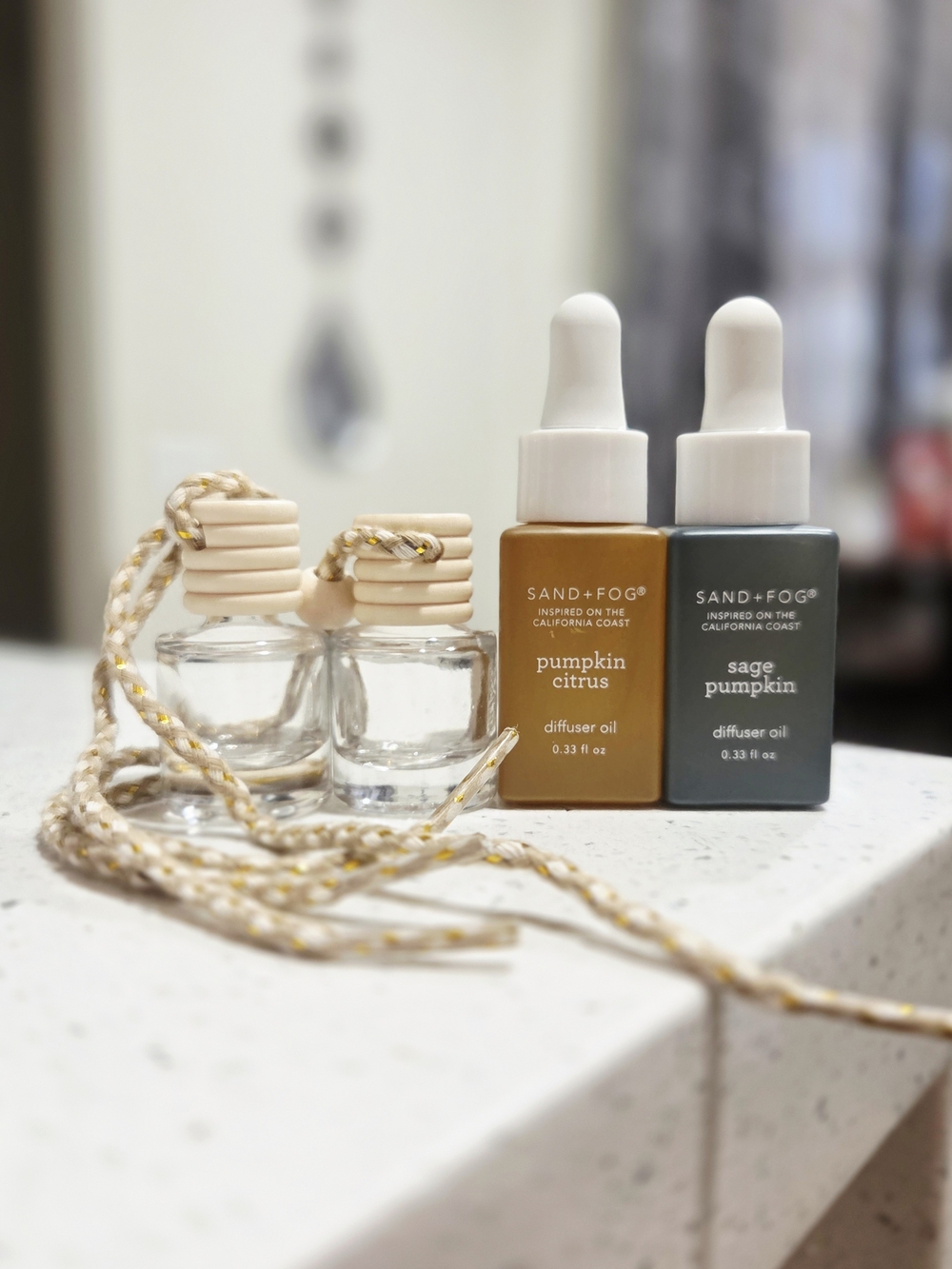 Pumpkin Citrus & Sage Pumpkin Diffuser Oil Set - X2 Glass Diffusers
